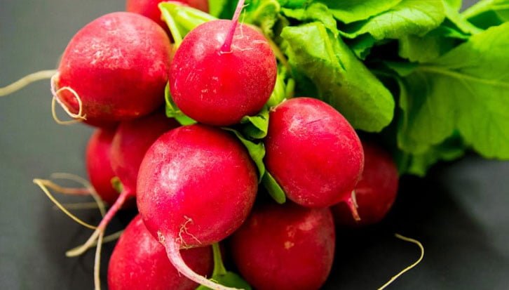 how to grow radishes at home