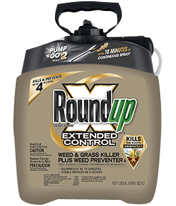 Roundup Ready-To-Use 