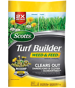 Scotts Turf Builder Weed and Feed 