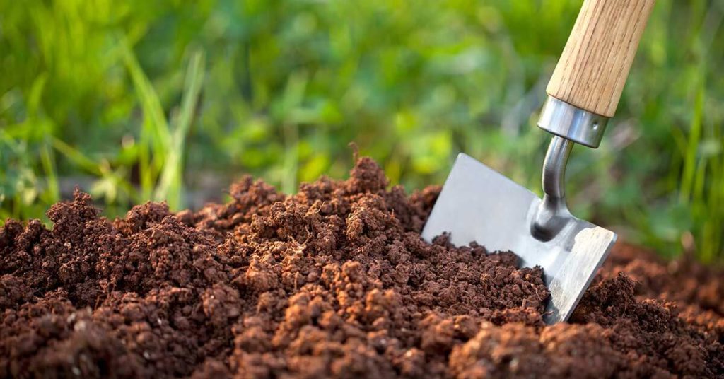 How Long Can Liquid Or Dry Fertilizer Take To Decompose