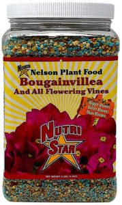 Nutri star - Nelson Bougainvillea