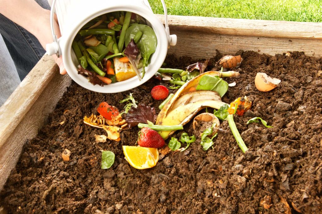 Steps to Turn Kitchen Waste into Organic Fertilizer