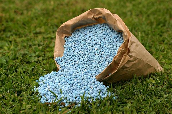 The Difference Between Slow and Fast Release Lawn Fertilizer