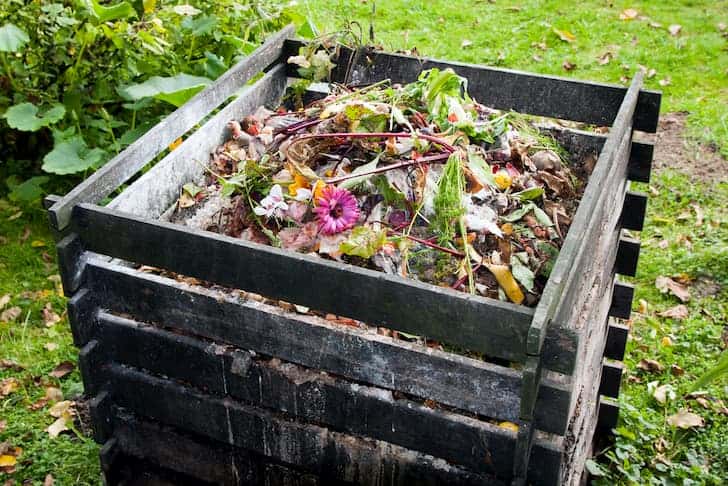 The Things To Avoid Throwing In Your Composter