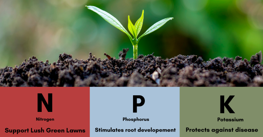 Different Types of Fertilizers for Different Environments