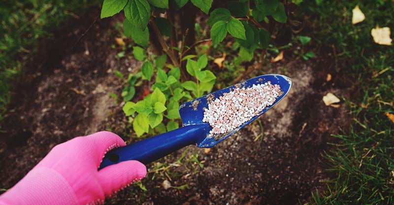 How to Use Fertilizer in the Garden