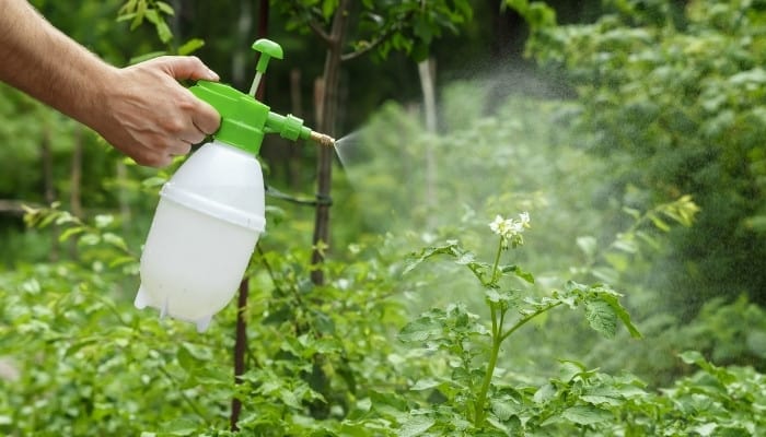 Important Liquid Fertilizer Feeding Tips