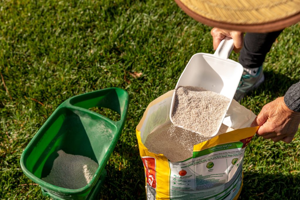 Is It Better To Fertilize Or Plant Grass Seed First?