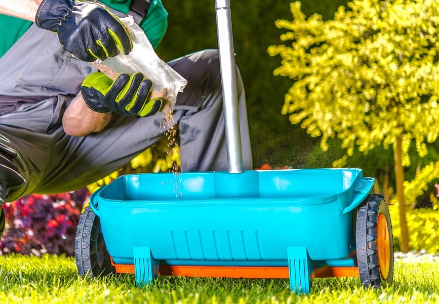 Useful Tips for Boosting Your Lawn Fertilizer Ratio