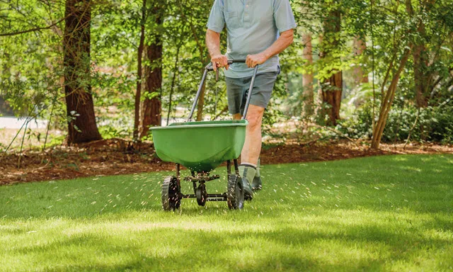 best lawn fertilizer ratio