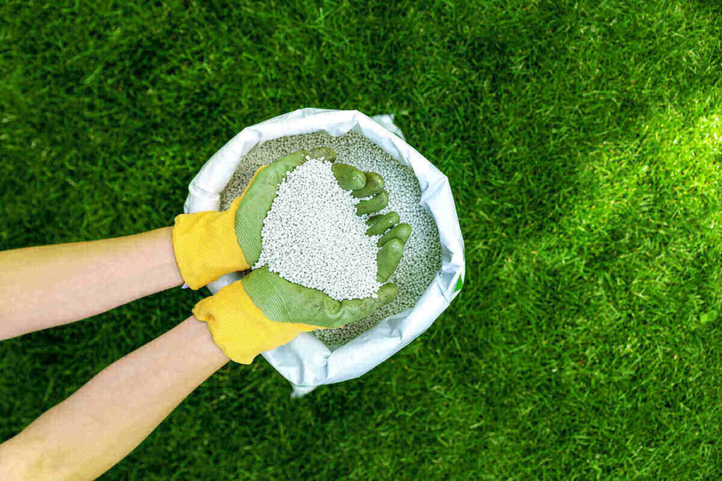 Choose the Right Fertilizer for Your New Grass