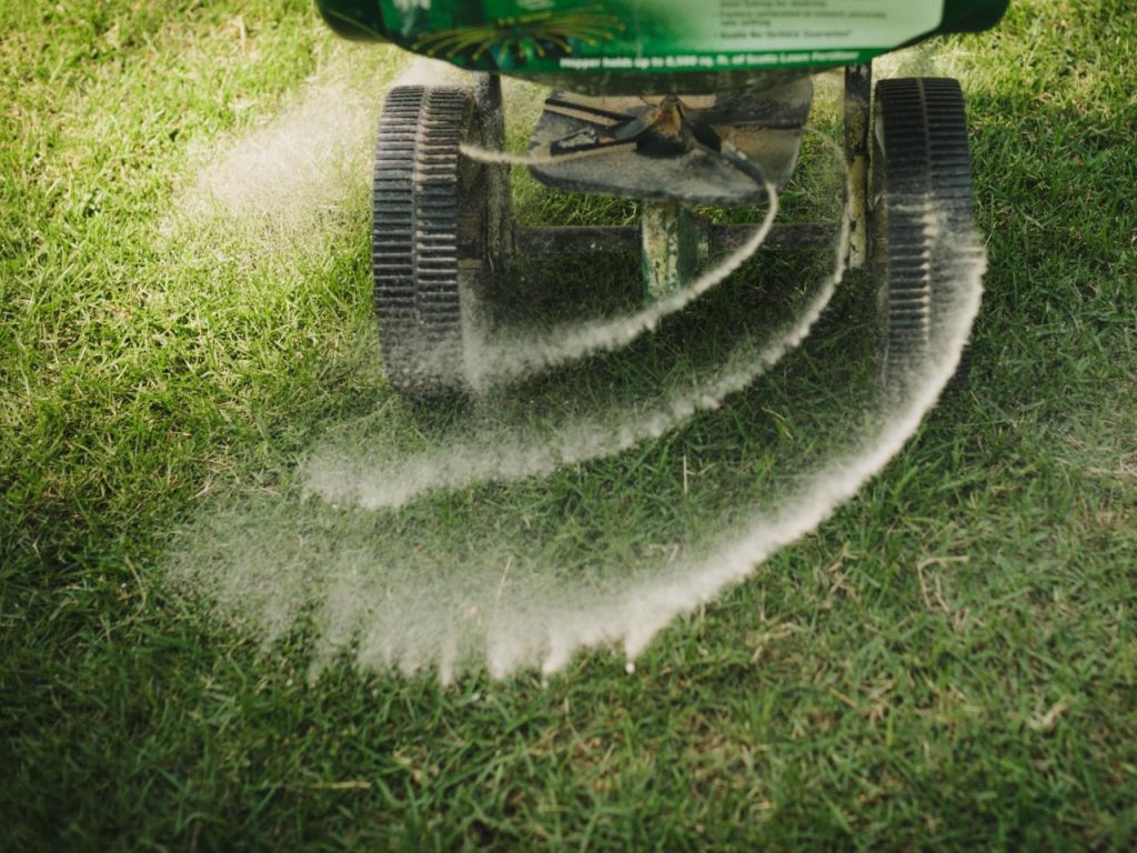 Things to Know When to Fertilize New Grass