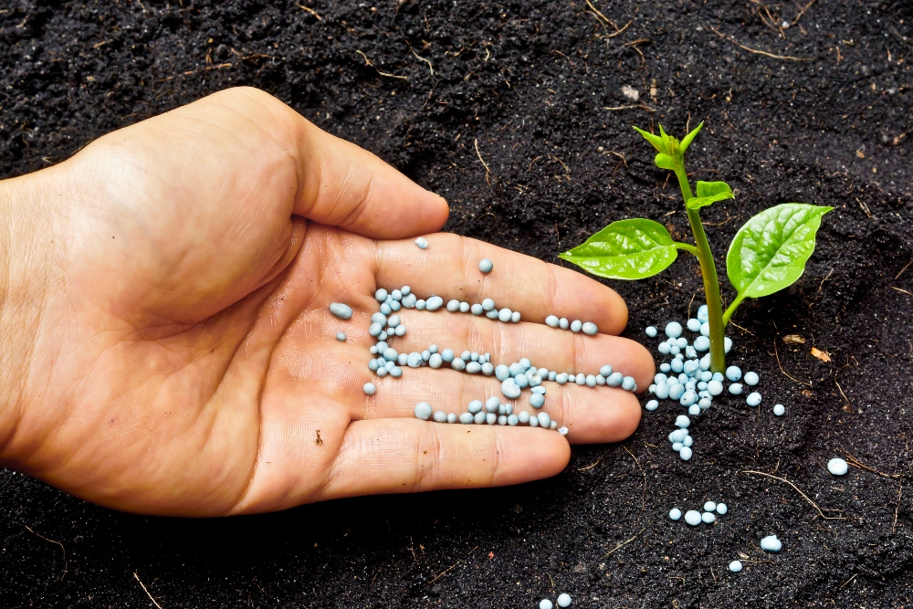 pros and cons of organic fertilizer