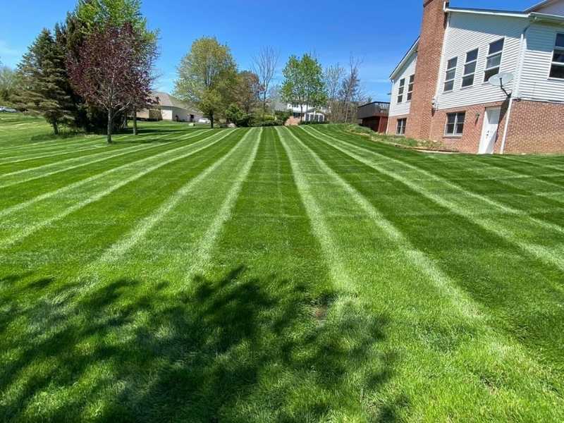 The Beneficial Effects of Ironite on Lawns