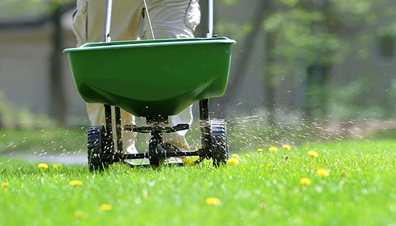 best fertilizer for grass in summer