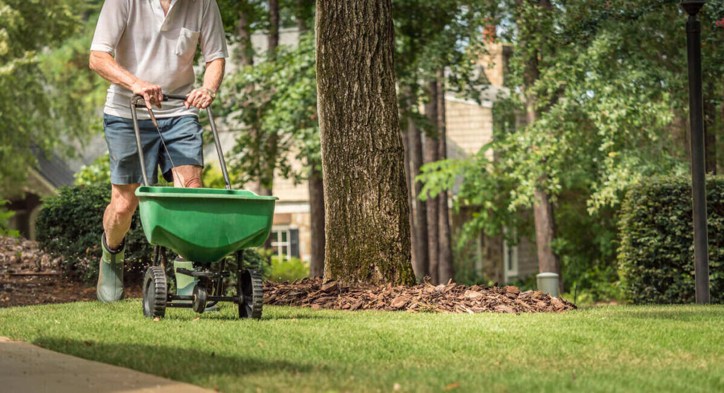 Tips For Fertilizing Your Lawn The Right Way