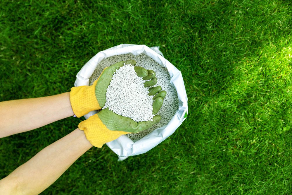 What Is The Ideal Time To Fertilize A Lawn